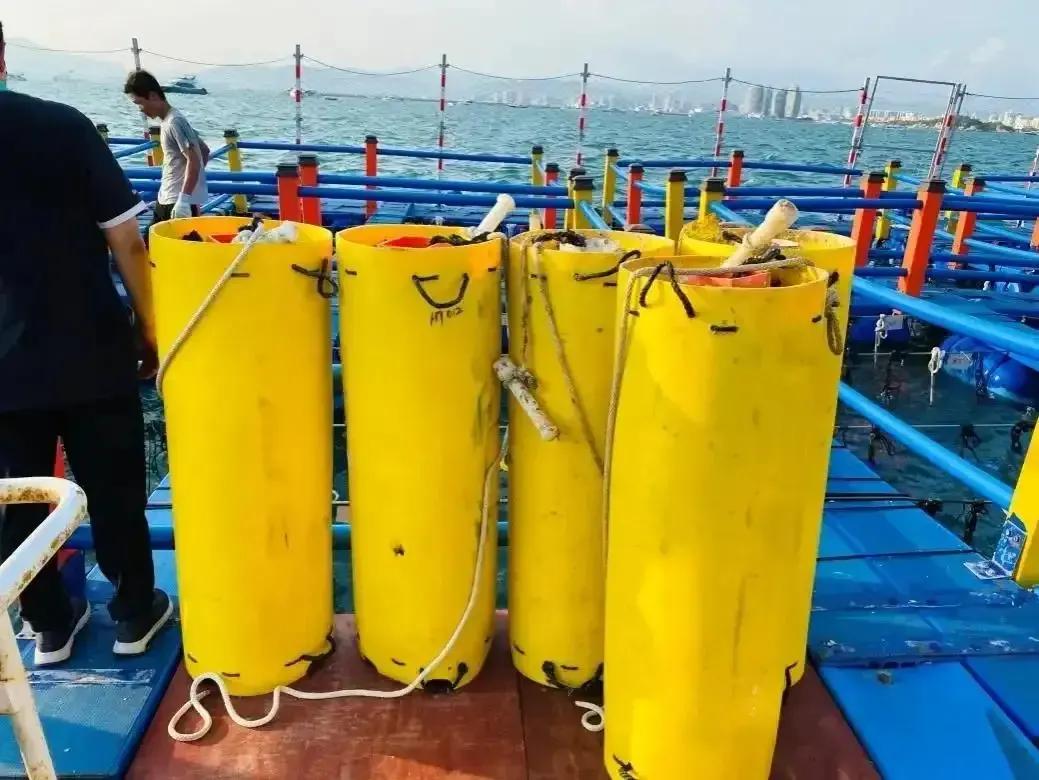 China harvests uranium from seawater.jpg